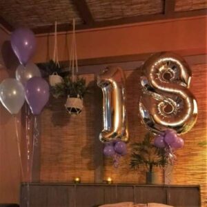 Birthday Spa animus